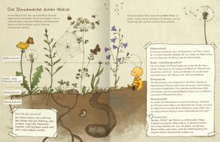 Maite Kelly, Britta Sabbag, Joëlle Tourlonias: Die kleine Hummel Bommel entdeckt die Wiese 