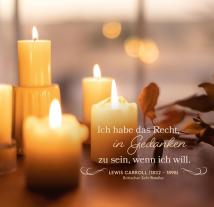 Die Welt ist ein Buch 