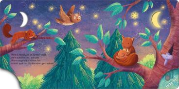 Julia Seal, Maria Höck: Mein Schlummer-Licht-Buch: Gute Nacht, Wald 