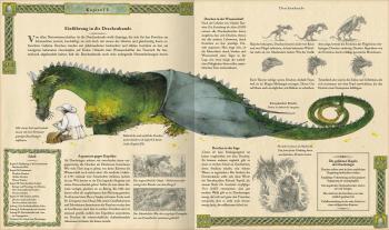 Cornelia Panzacchi, Ernest Drake: Expedition in die geheime Welt der Drachen 