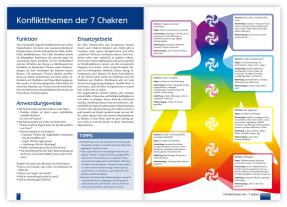 Christina Baumann, Roswitha Stark: Praxisbuch Neue Homöopathie. Band 2 