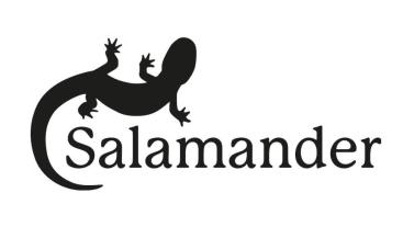 Iwona Eberle: Tessin 