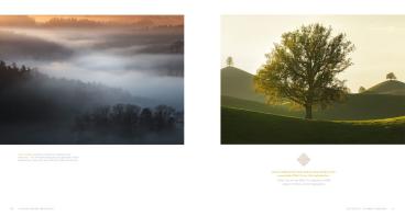 Frank Dr. Weinreich, Andreas Gerth, Frank Weinreich: Auenland und Düsterwald 