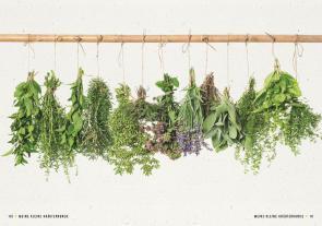 Gerard Janssen, Maartje van den Noort: Meine kleine Kräuterkunde 