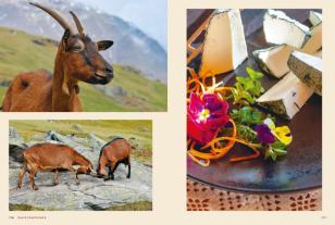 Herbert Taschler: Südtirol: Die junge Bergküche 