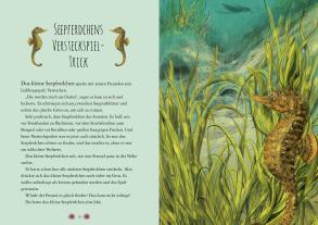 Chae Strathie, Erin Brown: Wunderwelt der Tiere im Meer 