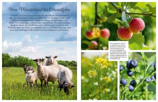 Die Landfrauen: Land & lecker (Bd. 6) 