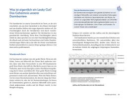Martin Prof. Dr. Storr, Martin Storr: Leaky Gut und SIBO 