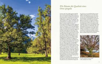 Guntram Stoehr: Bäume an Orten der Kraft 