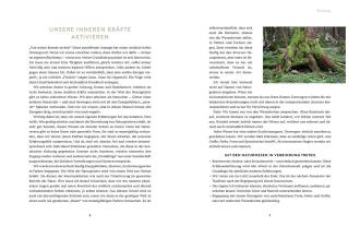 Sam Hess: Die Welt der Naturgeister - Das Arbeitsbuch 