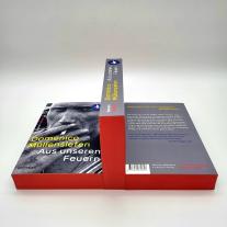Domenico Müllensiefen: Aus unseren Feuern 