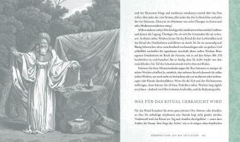 John Michael Greer: Druiden 