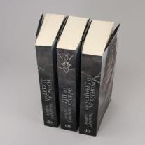 Andrzej Sapkowski, Erik Simon: Das Schwert der Vorsehung 