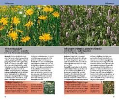 Eva-Maria Dreyer: Essbare Wildkräuter und ihre giftigen Doppelgänger 