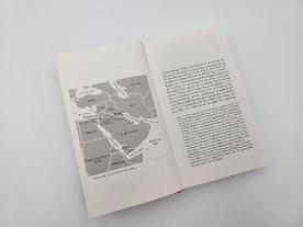 Mike Hiegemann, Thomas Meyer, Hannah Arendt: Über Palästina 