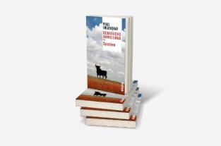 Paul Ingendaay: Gebrauchsanweisung für Spanien 