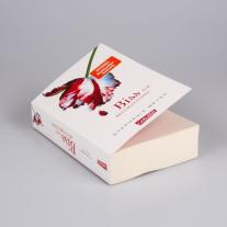 Sylke Hachmeister, Stephenie Meyer: Biss zur Mittagsstunde (Bella und Edward 2) 