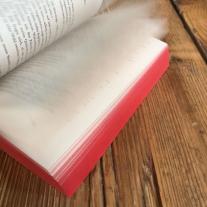 Sylke Hachmeister, Stephenie Meyer: Biss zum Abendrot (Bella und Edward 3) 