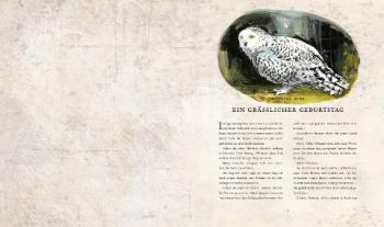 Jim Kay, Klaus Fritz, J.K. Rowling, Joanne K. Rowling: Harry Potter und die Kammer des Schreckens (Schmuckausgabe Harry Potter 2) 