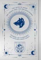 Beril Kehribar: Where the Night Falls (School of Darkness 1) 