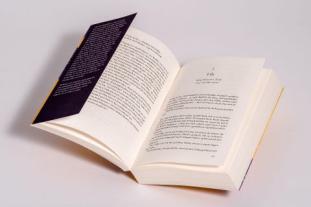 Elfriede Peschel, Jennifer Finney Boylan, Jodi Picoult: Wildhonig 