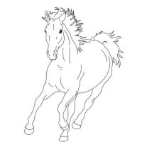 Christiane Slawik, Philipp Roß: Mein superdicker Pferdefreunde-Malblock 