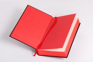 Alexandra Berlina, Michail Bulgakow: Der Meister und Margarita. Schmuckausgabe mit Illustrationen von Alexander Fedorov, 