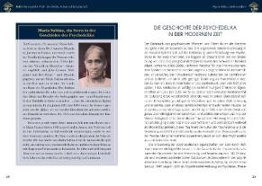 Mary Dannehl, Philip Rebensburg: Microdosing mit Psilocybin 