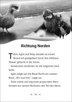 Katrina Charman, Jeremy Norton, Loewe Erstes Selberlesen: Der letzte Feuerfalke und die Kristallhöhlen (Band 2) 