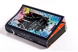 Maike Hallmann, L. K. Steven, L.K. Steven: Silvercloak - Unter Feinden 