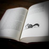 Cornelia Funke: Tintenwelt 1. Tintenherz 