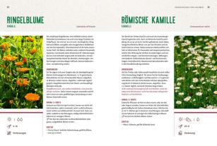 Harald Harazim, Renate Hudak: Mein Heilpflanzen-Hochbeet 