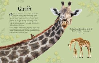 Ben Hoare, Daniel Long, Angela Rizza, Eva Sixt, Daniela Terrazzini, DK Verlag - Kids: Wundervolle Welt der Tiere 