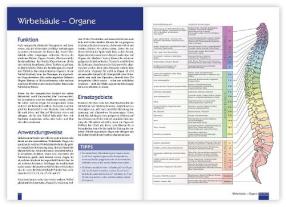 Christina Baumann, Roswitha Stark: Praxisbuch Neue Homöopathie 