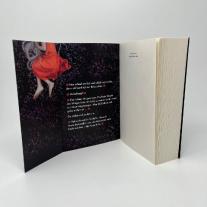 Anders Roslund: Schlaft, Kinder, schlaft (Ewert Grens ermittelt 2) 