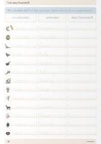 sternchenverlag GmbH, Katrin Langhans: Ich kann die Grundschrift Teil B - Übungsheft 