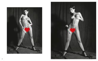 Didier Carré: Stainless Ladies 