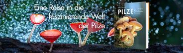 Martina Wiese, Coralie Wink, Jorunn Wissmann, Britt A. Bunyard: Pilze 