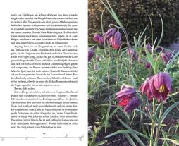 Meike Winnemuth: Bin im Garten 