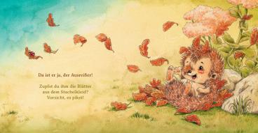 Sophie Schoenwald, Nadine Reitz: Schlaf schön, kleiner Igel 