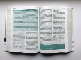 Joyce Meyer: Die Bibel mit Impulsen von Joyce Meyer, Kunstlederausgabe 