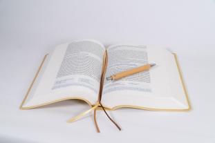 Elberfelder Bibel - mit Schreibrand, Kunstleder 