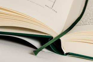 Thomas Hübl: Kollektives Trauma heilen 