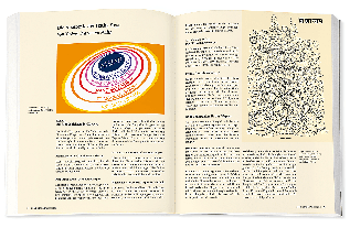 Inge Schöps: Yoga - Das große Praxisbuch für Einsteiger & Fortgeschrittene 
