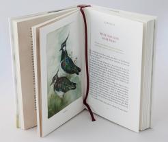 Johanna Romberg, Florian Frick: Federnlesen 