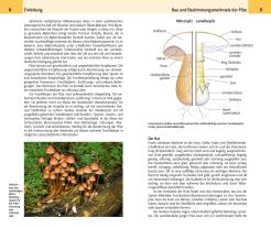 Hans E. Laux: Der große Kosmos Pilzführer 