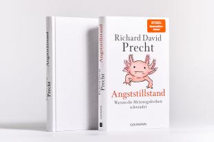 Richard David Precht: Angststillstand 