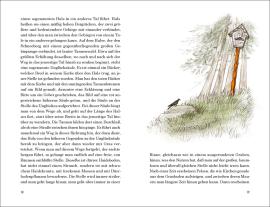 Adalbert Stifter, Gerda Raidt: Bergkristall 