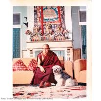 Tenzin Geyche Tethong: Dalai Lama 
