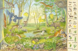 Christine Henkel: Mein erstes Wimmelbuch: Jahreszeiten 